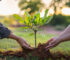l'Agricoltura Sostenibile