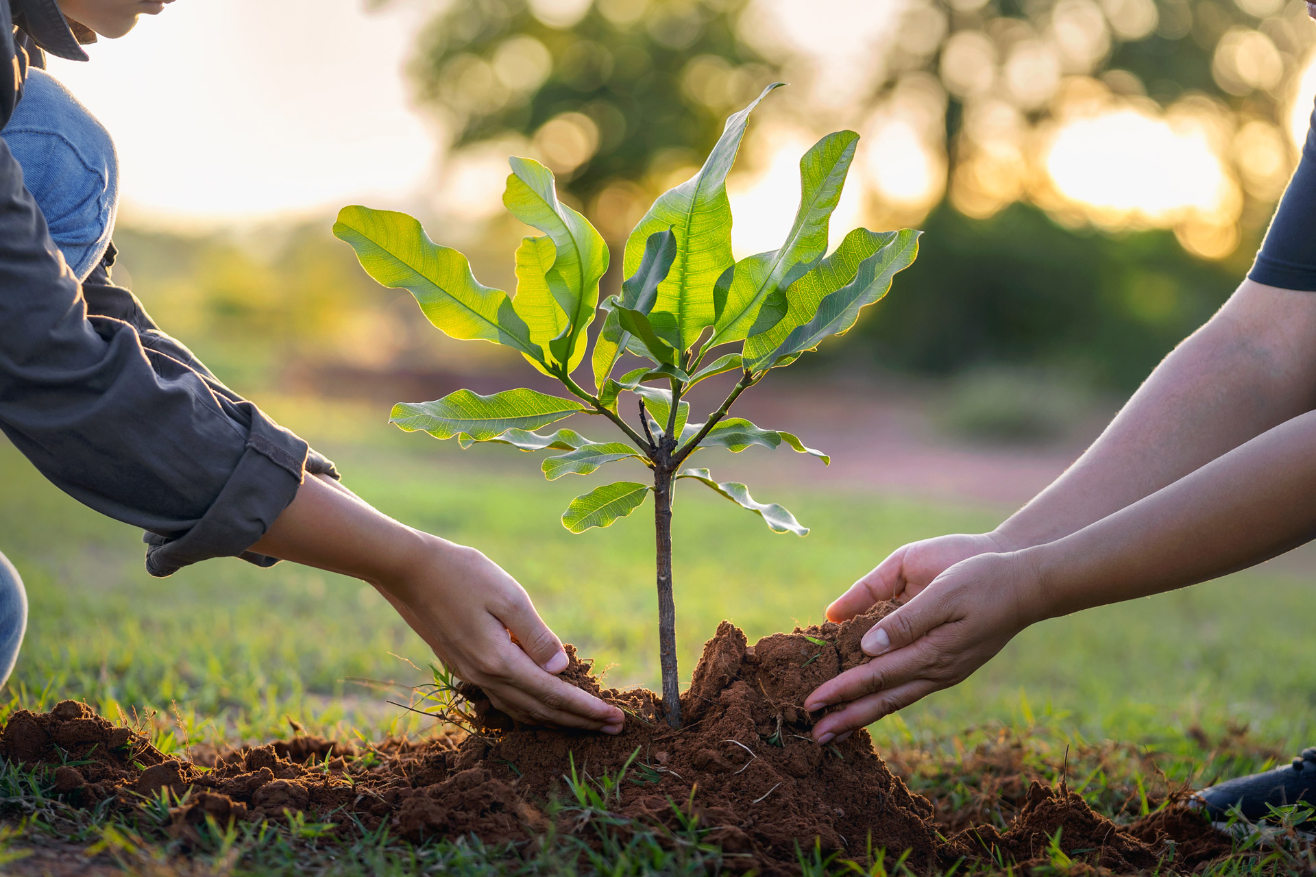 l'Agricoltura Sostenibile