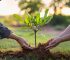 l'Agricoltura Sostenibile